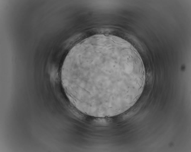 X0000094220381200711241727