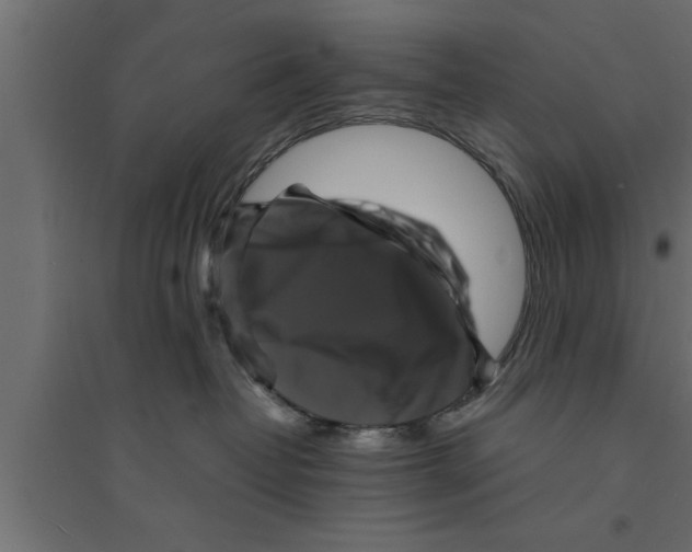 X0000094220382200711241727