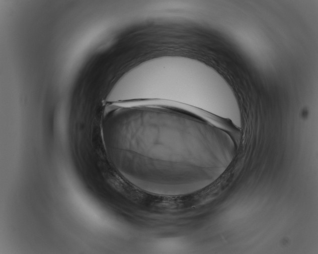 X0000094220383200711241727