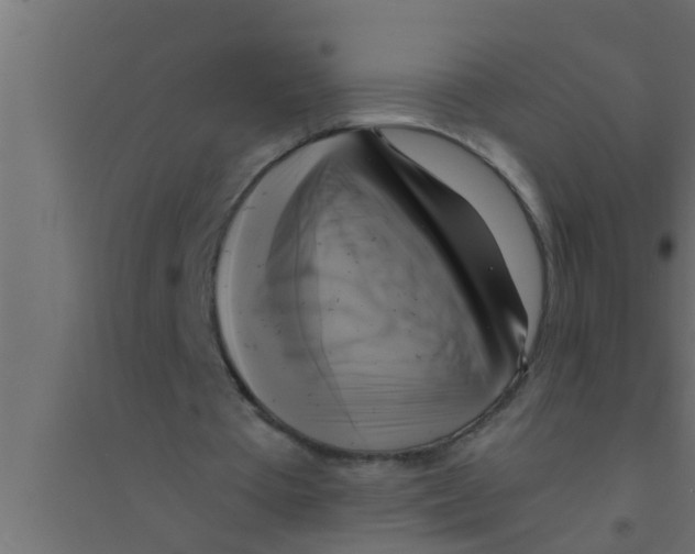 X0000094220385200711241726