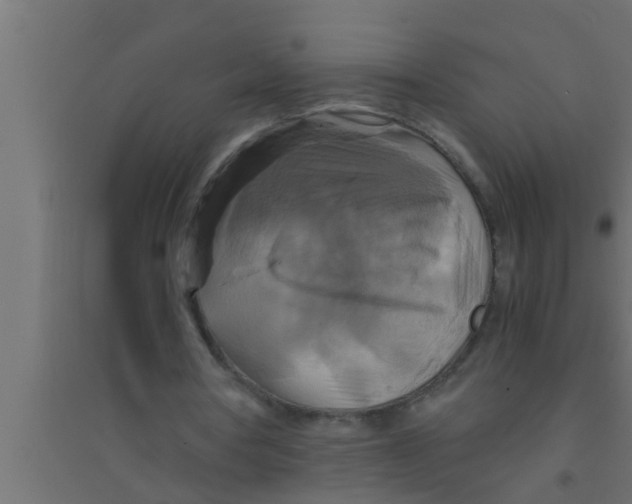 X0000094220386200711241726