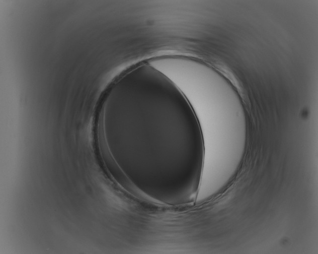 X0000094220387200711241726