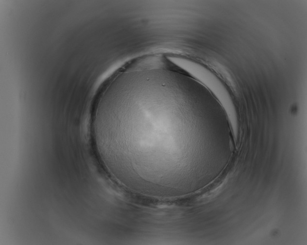 X0000094220388200711241726