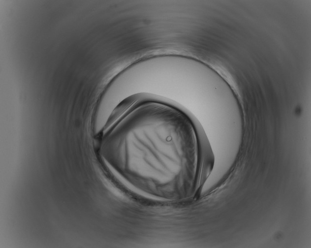 X0000094220389200711241726