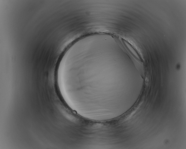 X0000094220390200711241726