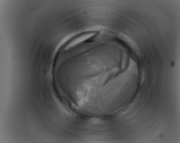 X0000094220392200711241726