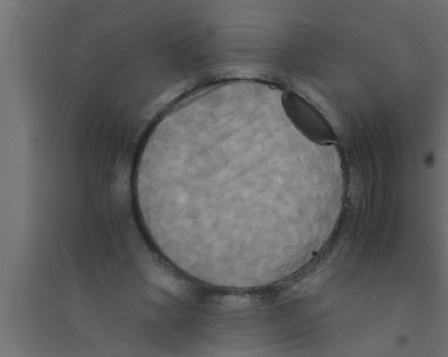 X0000094220394200711241726