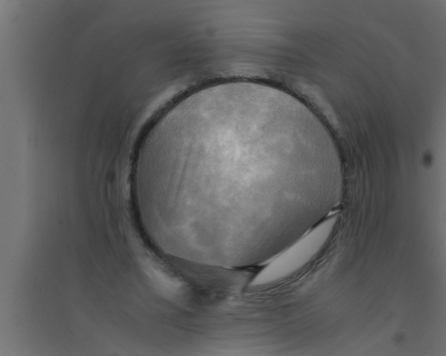 X0000094220395200711241726