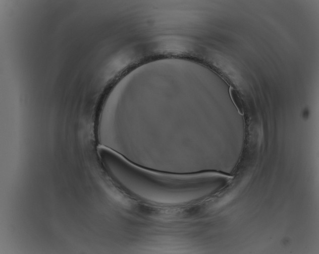 X0000094220399200711241726