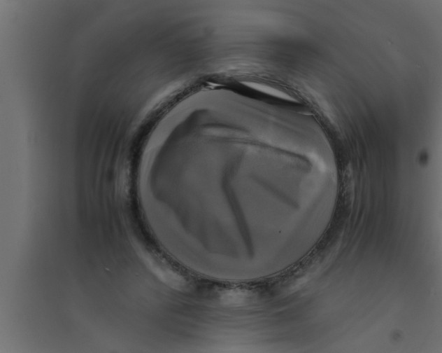 X0000094220400200711241726