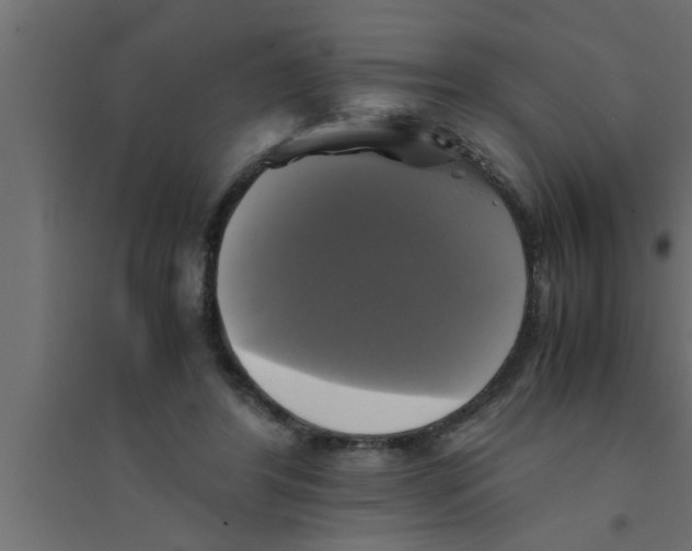 X0000094220404200711241726