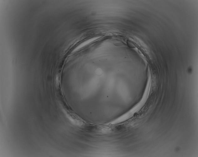 X0000094220405200711241726