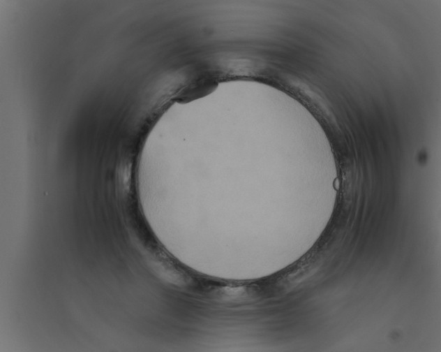 X0000094220406200711241726