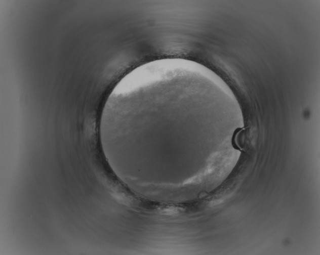 X0000094220407200711241726