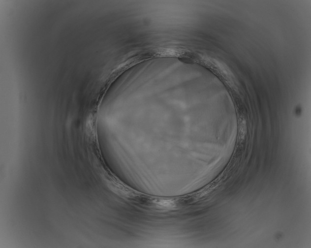 X0000094220409200711241726