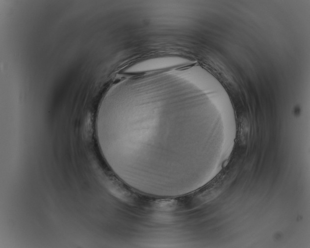X0000094220410200711241726