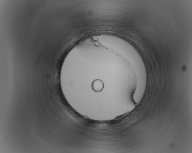 X0000094220411200711241726