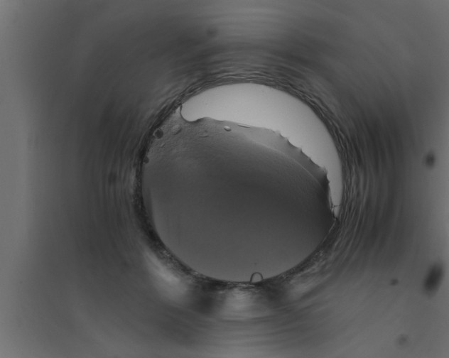 X0000094220412200711241726