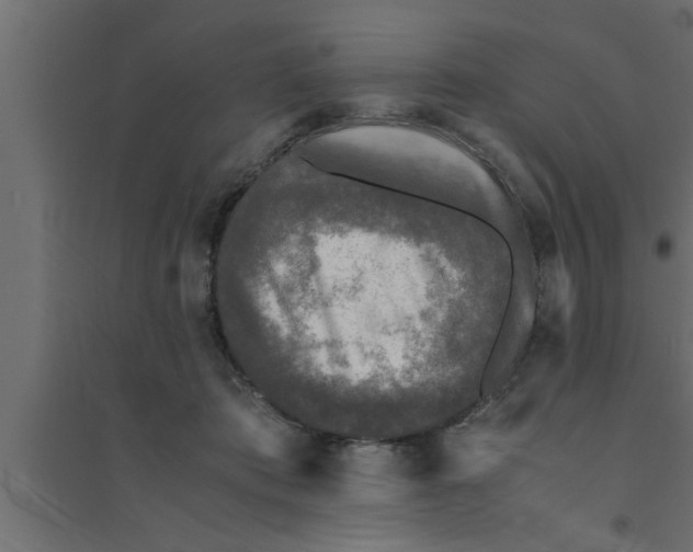 X0000094220413200711241726