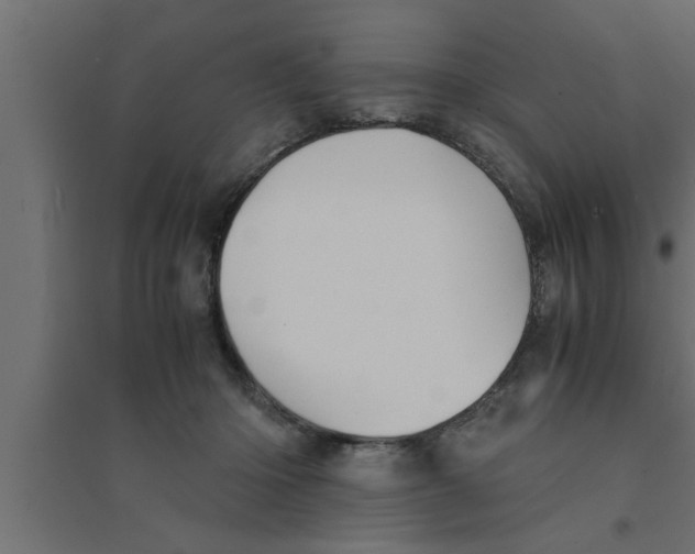 X0000094220414200711241726