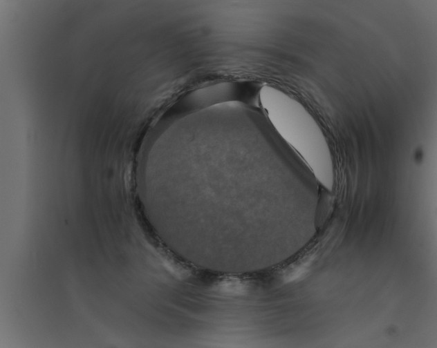 X0000094220416200711241726