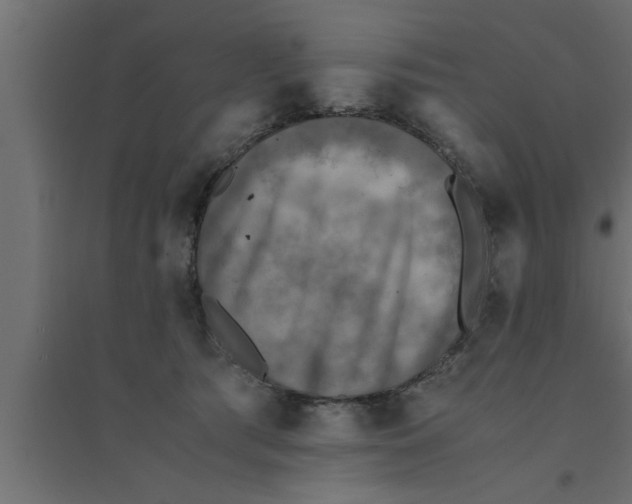 X0000094220417200711241726