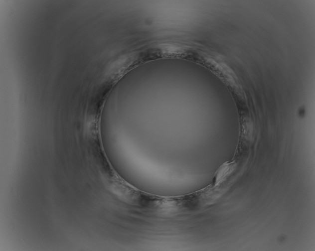 X0000094220419200711241726