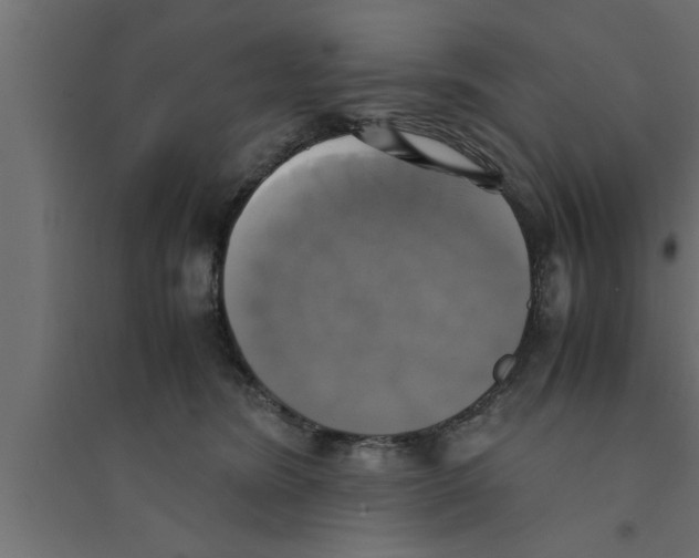 X0000094220420200711241726