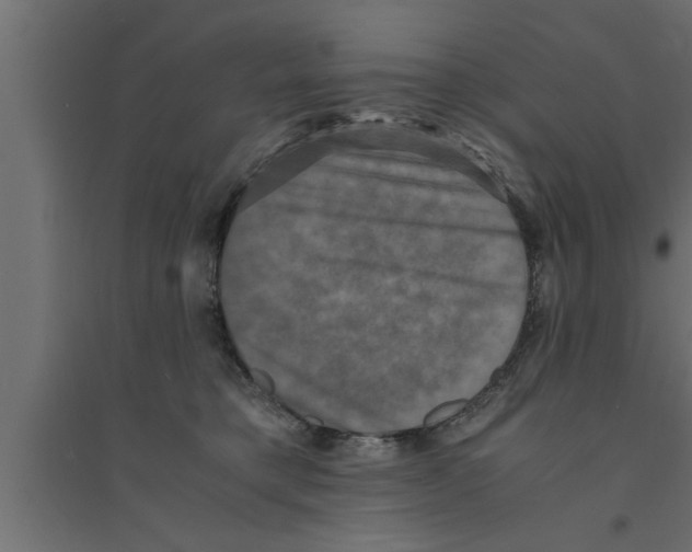 X0000094220421200711241726