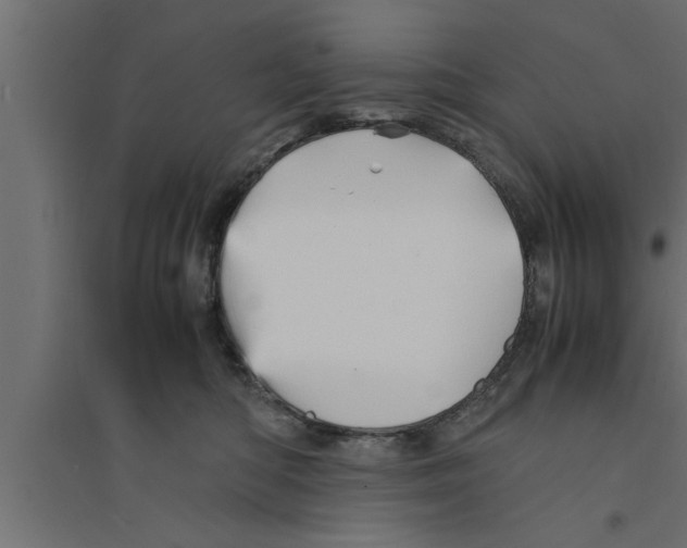 X0000094220422200711241726