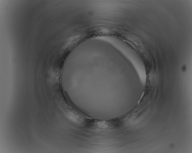 X0000094220423200711241726