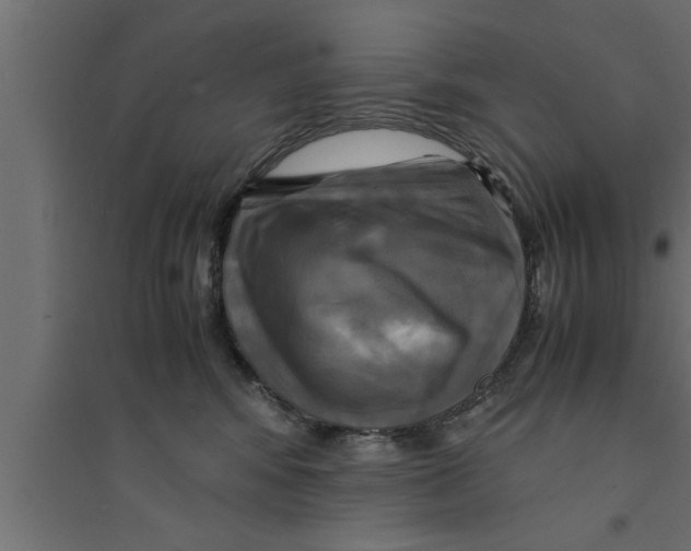 X0000094220424200711241726