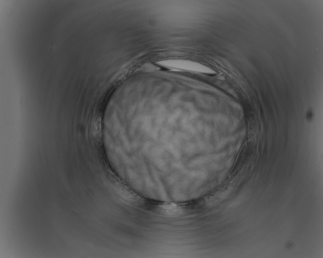 X0000094220425200711241726