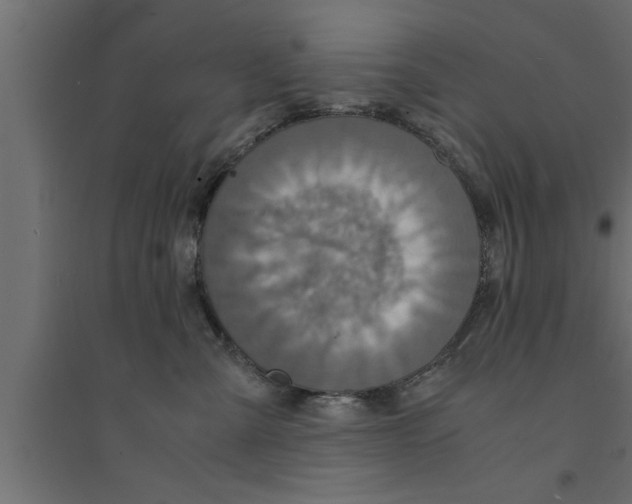 X0000094220427200711241726