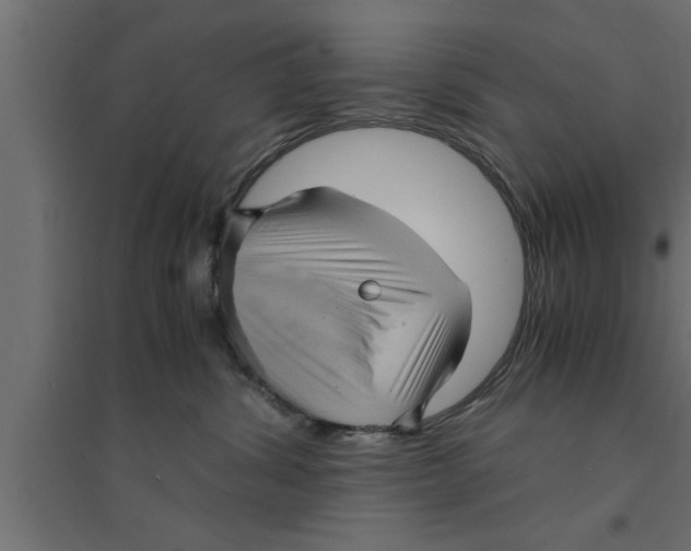 X0000094220428200711241726