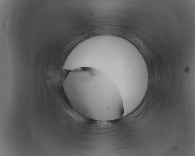 X0000094220429200711241726