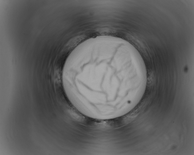 X0000094220430200711241726