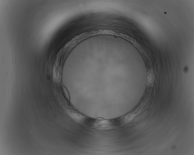 X0000094220431200711241726