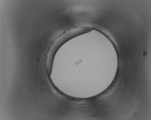 X0000094220433200711241725