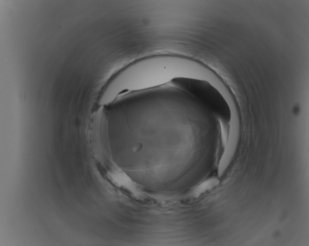 X0000094220434200711241725