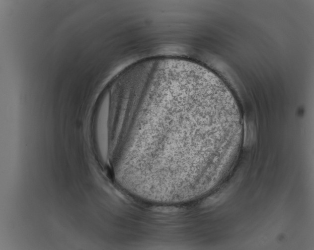 X0000094220435200711241725