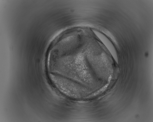 X0000094220436200711241725