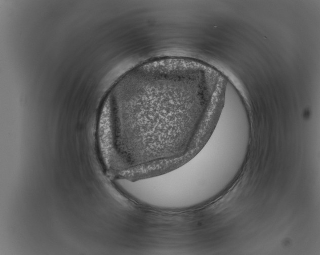 X0000094220437200711241725