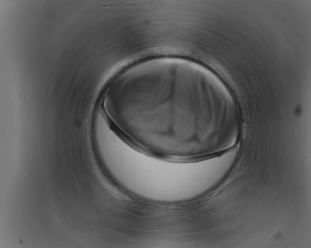 X0000094220438200711241725