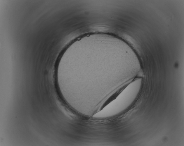 X0000094220439200711241725