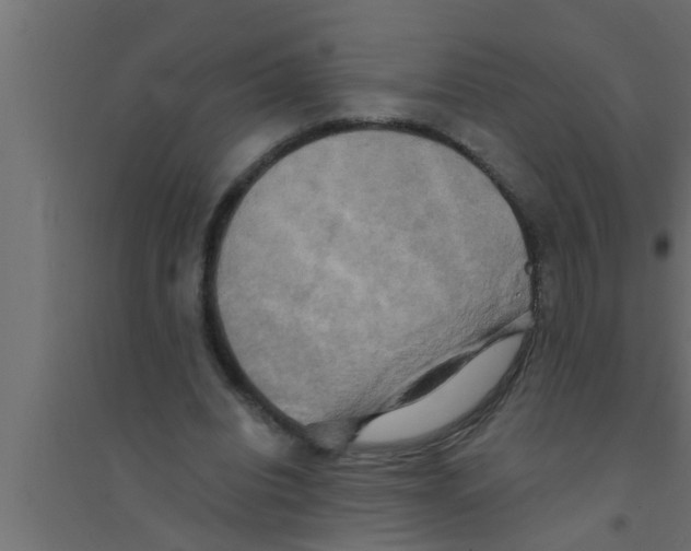 X0000094220440200711241725