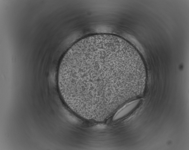 X0000094220441200711241725