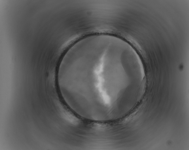 X0000094220442200711241725