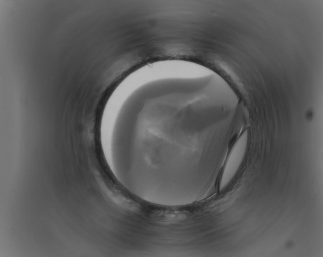 X0000094220443200711241725