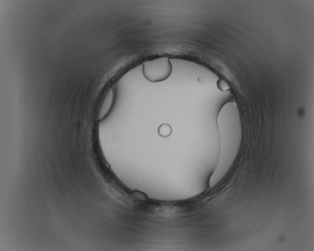 X0000094220444200711241725